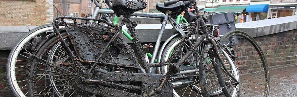 Learn the bicycle crash statistics reported by the NHTSA.