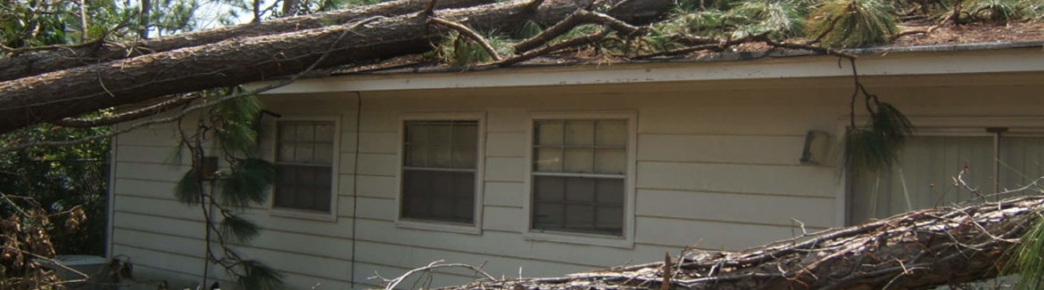 Important things to know when purchasing homeowner's insurance such as this tree on this house.