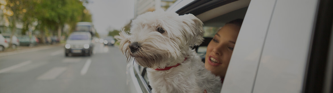 Auto Insurance Coverage in St. Louis
